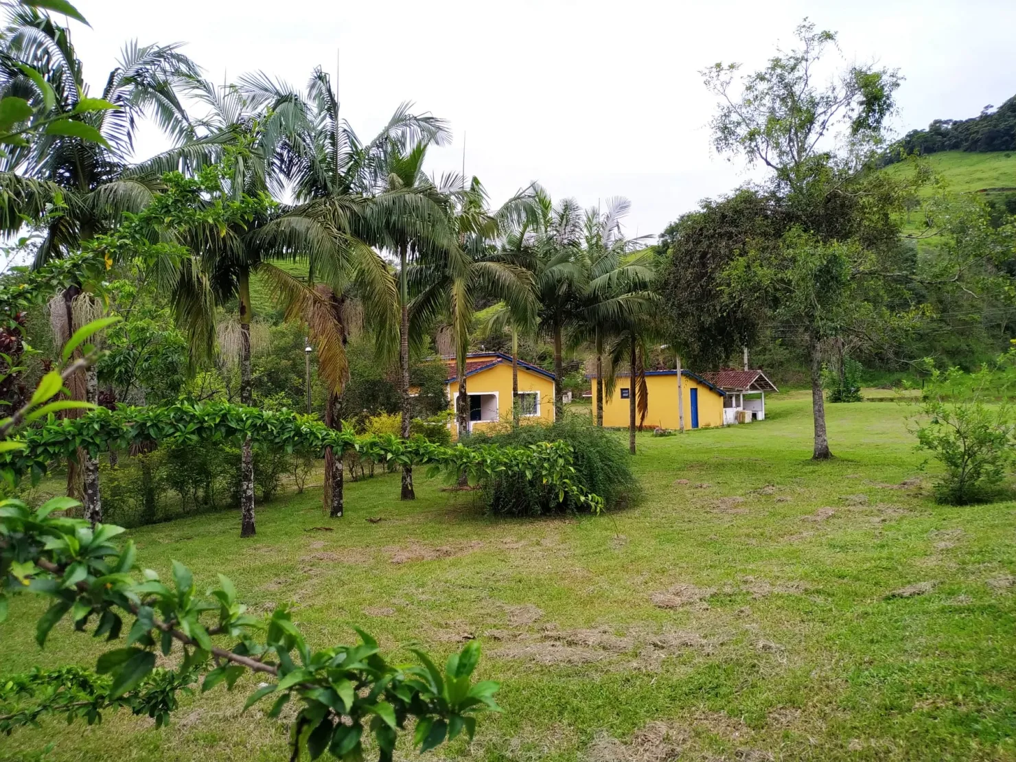 Imagem Chácara à venda 4 Quartos, 1 Suite, 1282600M², Zona Rural, Pindamonhangaba - SP