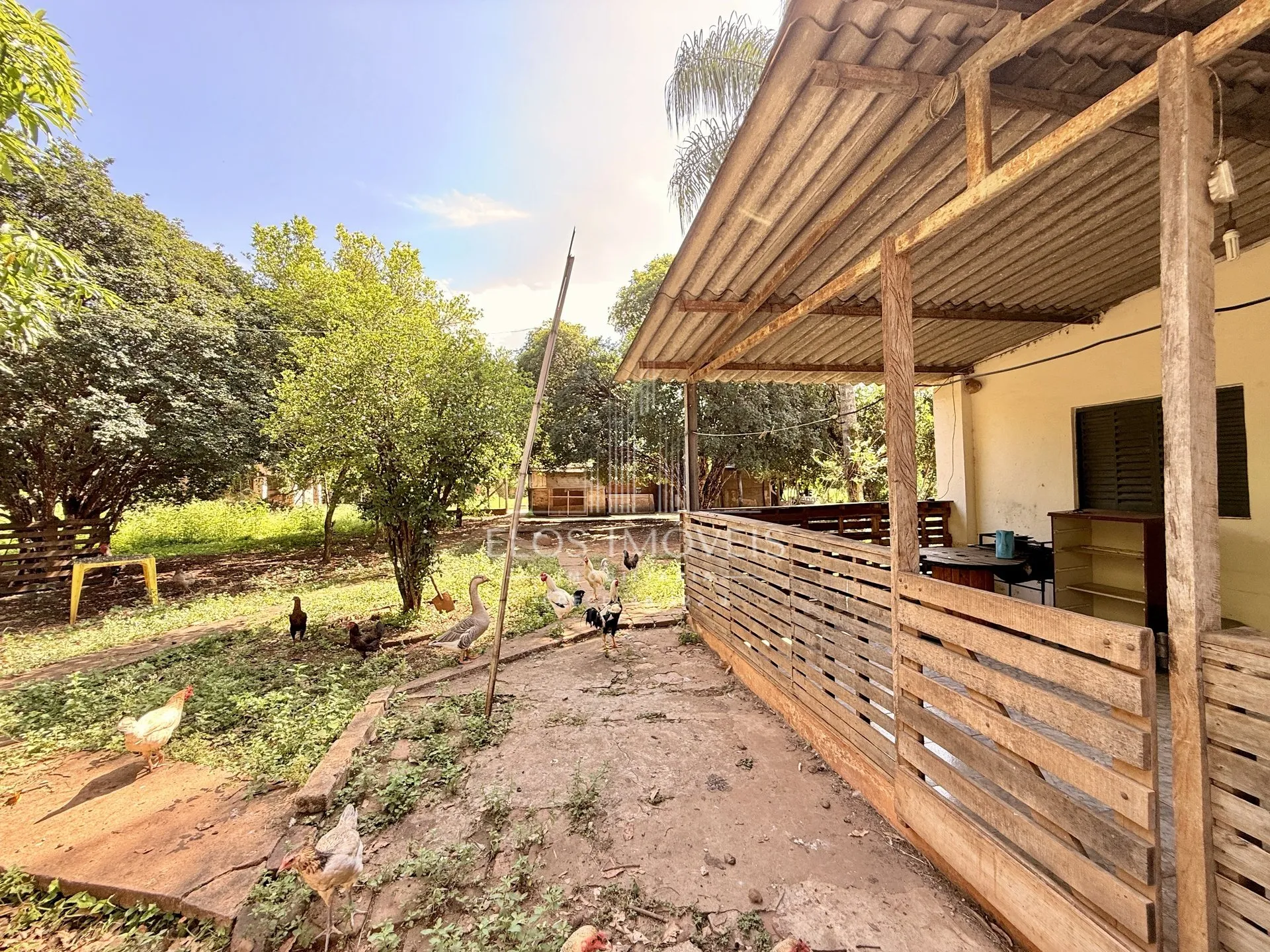 Imagem Fazenda/Sítios/Chácaras de 3 quartos, no bairro Bairro São Francisco, em Limeira