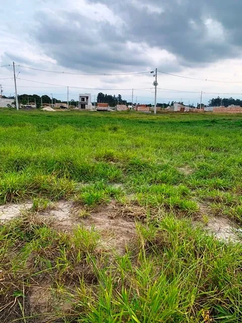 Foto do imóvel Terreno à venda 125M², Residencial e Comercial Portal dos Eucaliptos, Pindamonhangaba - SP