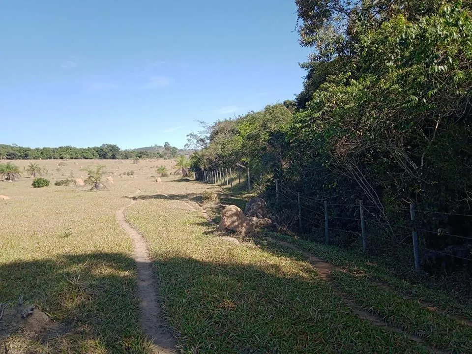 Imagem Vendo Excelente Fazenda em Bonfim/MG 90 hectares de terra