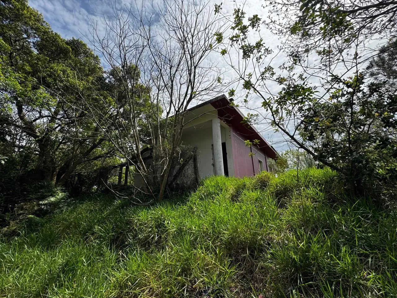 Imagem Terreno de 1 Hectare à Venda em Osório - Estrada do Mar de frente, RS com laudo Ambiental.
