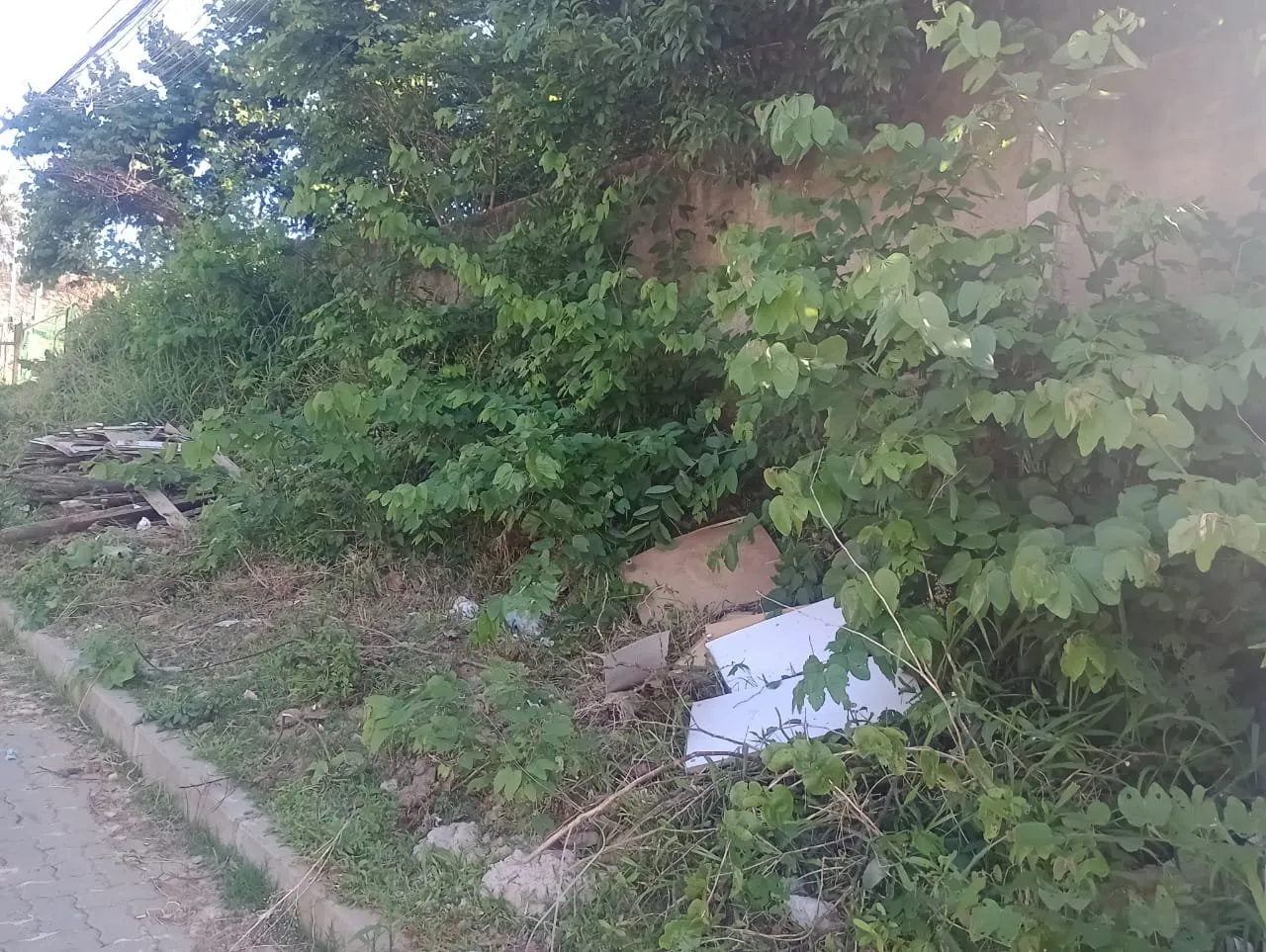 Imagem Terreno à Venda em São Lucas, Viamão