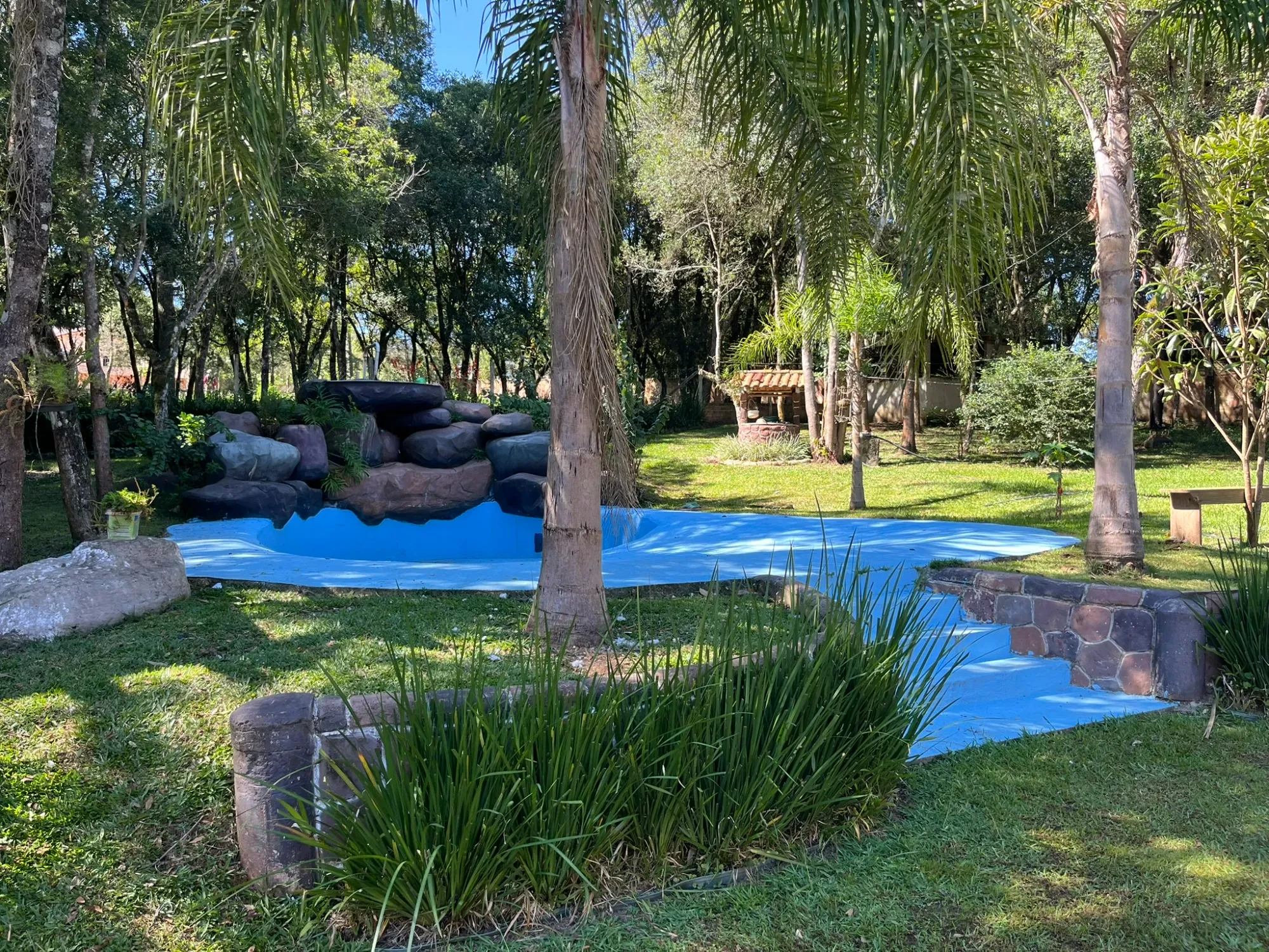 Imagem Chácara com 3 Quartos à Venda, 8000 m² em Campina do Taquaral - São José dos Pinhais