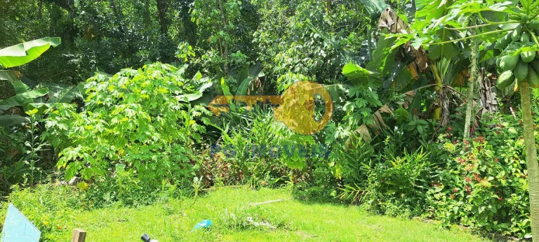 Imagem Chácara em Condomínio no Guaraguaçu
