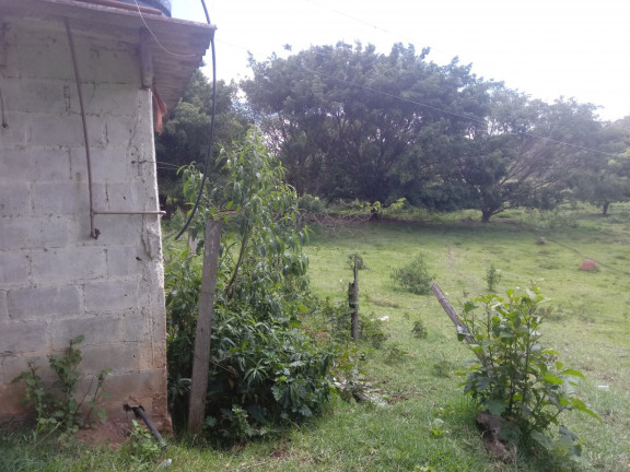 Imagem Chácara com 4 Quartos à Venda, 25.000 m²em Jardim Palmeiras - Caçapava