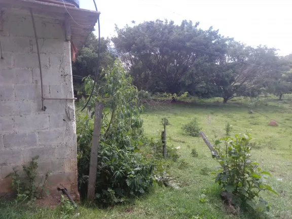 Imagem Chácara com 4 Quartos à Venda, 25.000 m²em Jardim Palmeiras - Caçapava