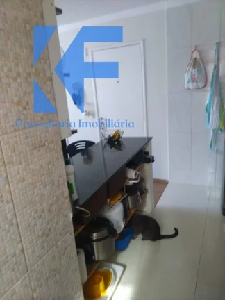 Imagem APARTAMENTO RESIDENCIAL em HORTOLÂNDIA - SP, VILA SÃO FRANCISCO