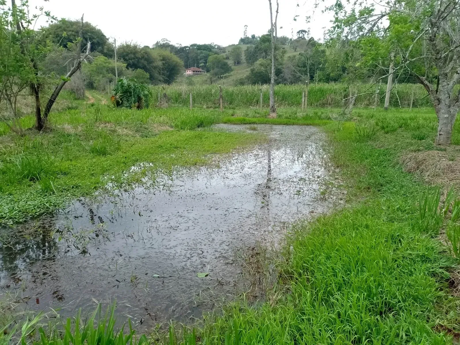 Imagem Chácara com 2 Quartos à Venda, 80 m² em Caldas - Caldas