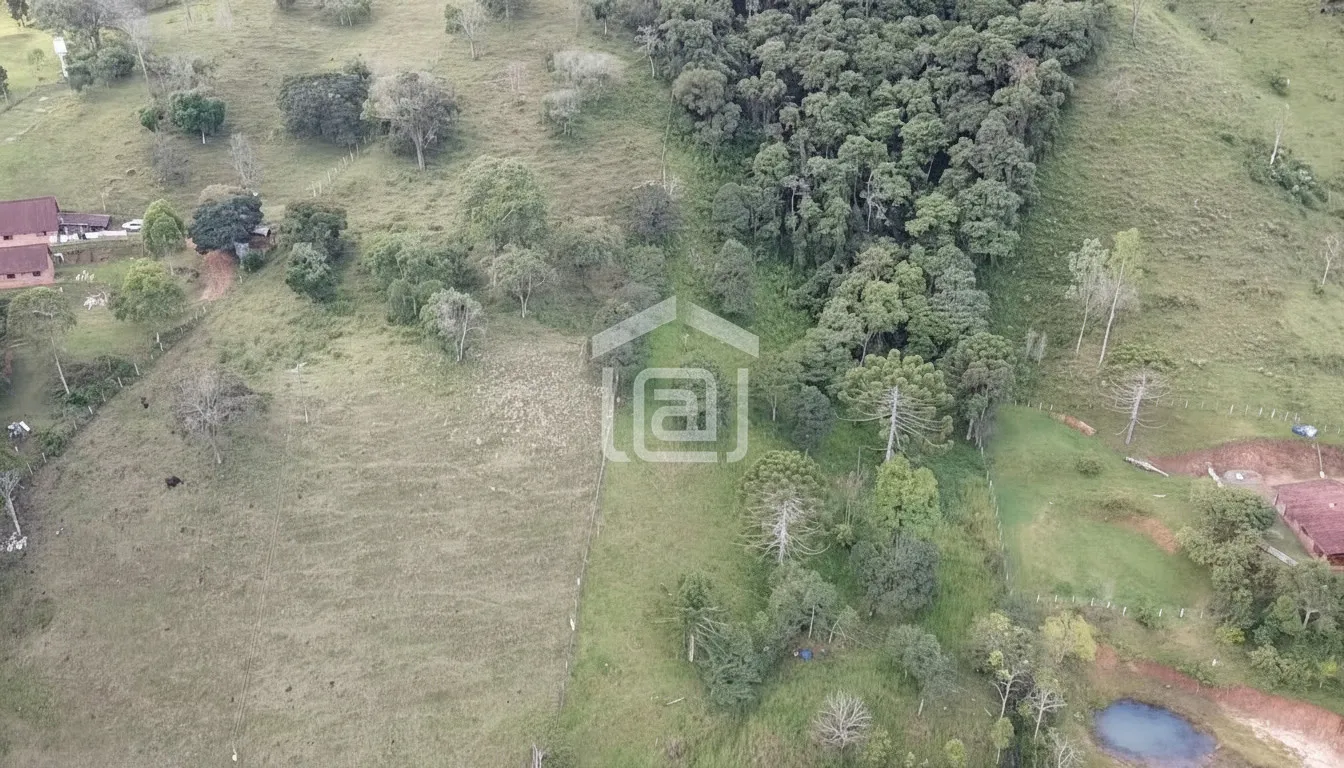 Imagem Chácara 100 m² à venda em Amendoins, Caldas