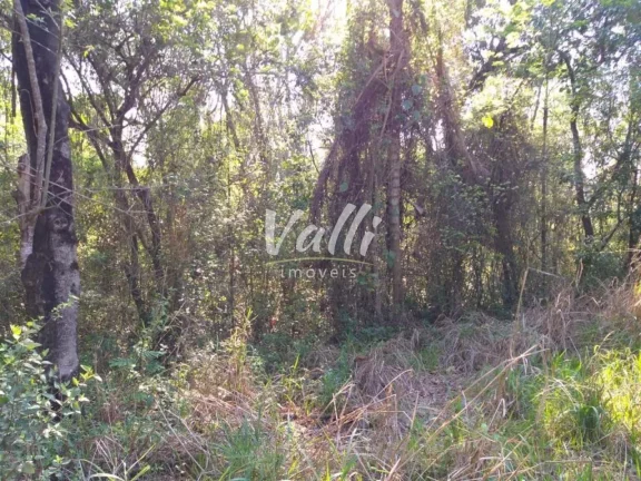 Imagem Sitio INDUSTRIAL em Limeira - SP, Jardim Olga Veroni