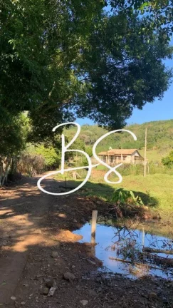 Imagem SITIO RURAL em IGREJINHA - RS, Solitária Alta