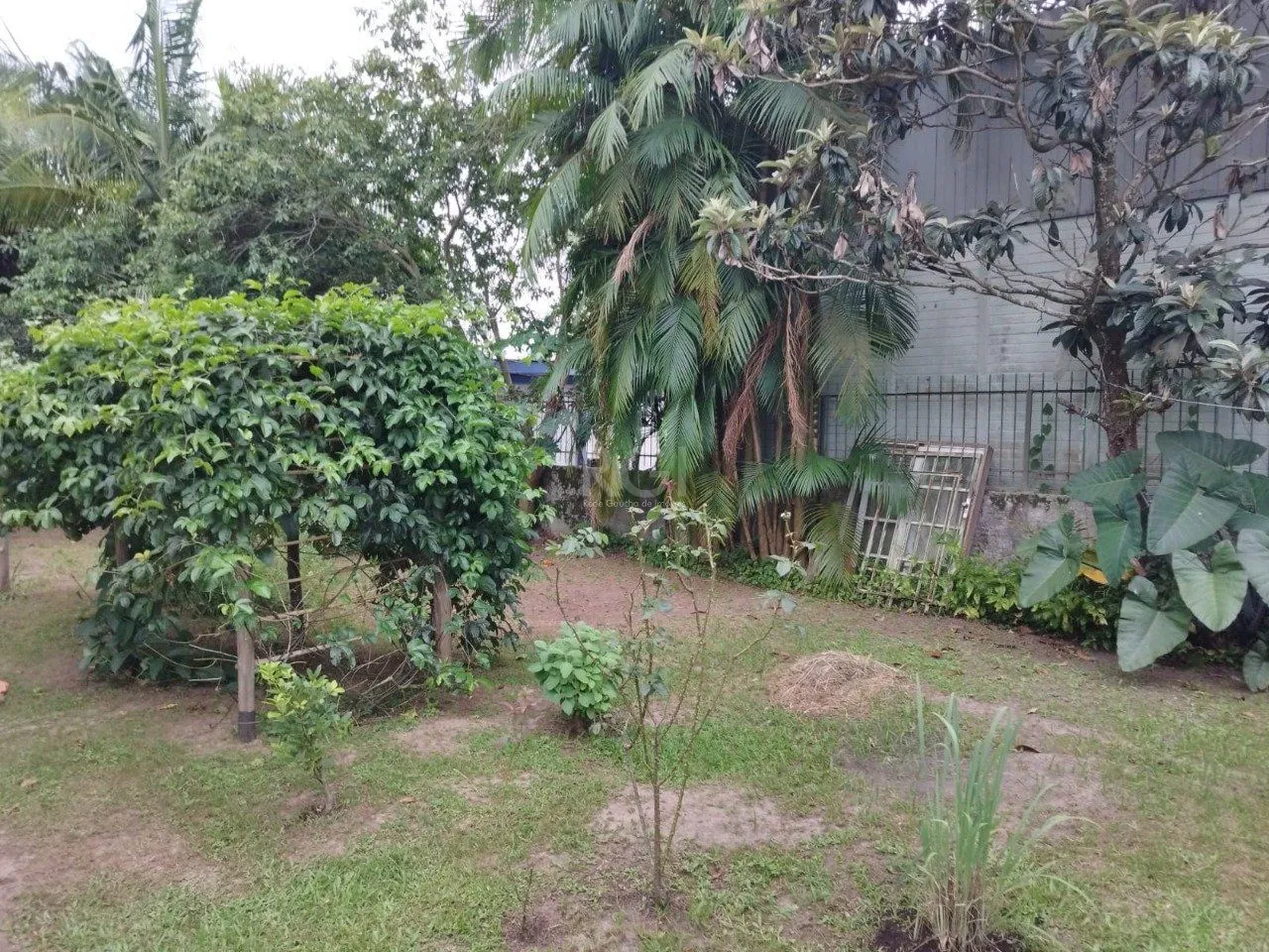 Imagem Terreno em Centro