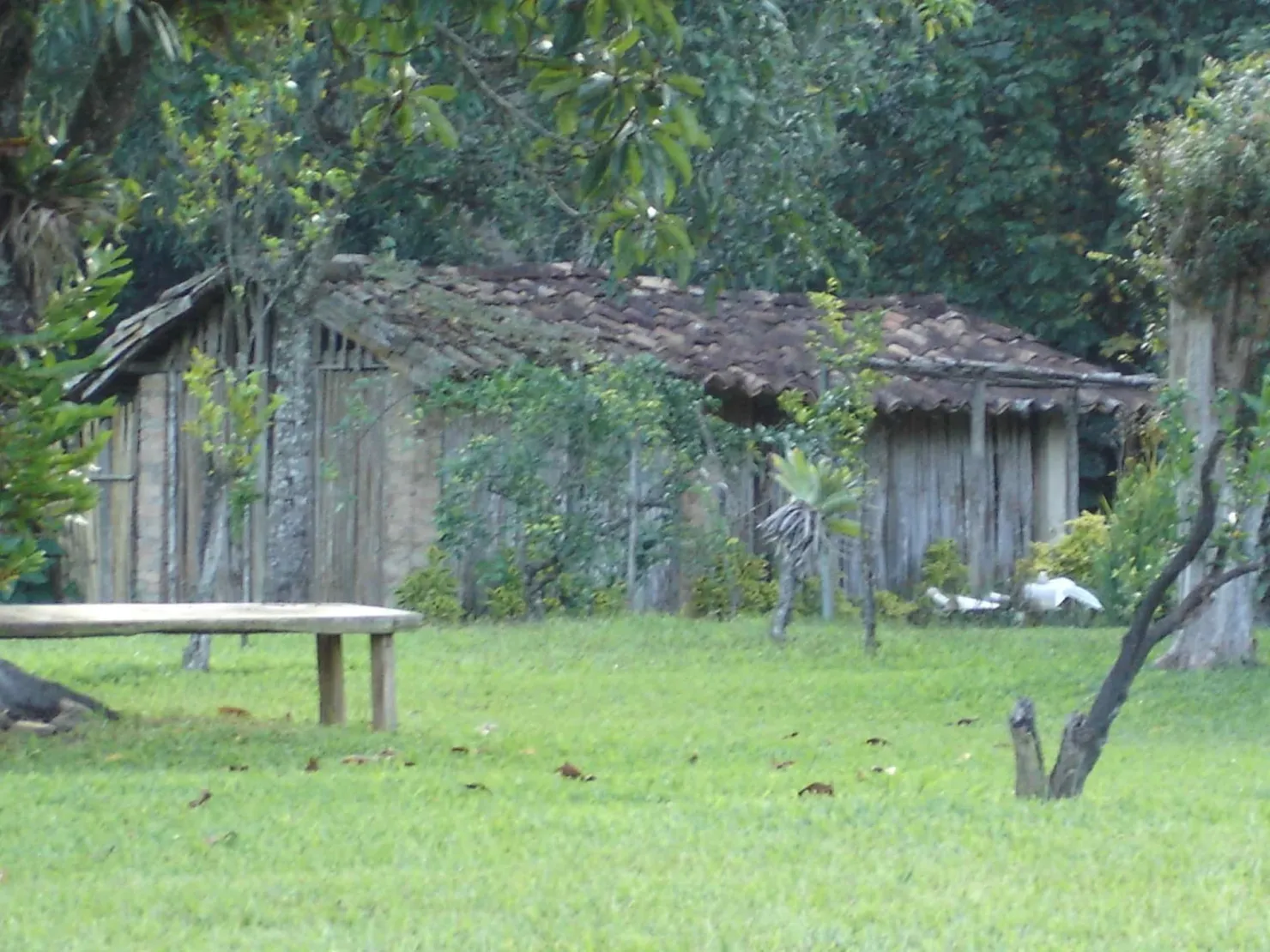 Imagem Sítio à venda 3 Quartos, 49000M², Ribeirão Grande, Pindamonhangaba - SP