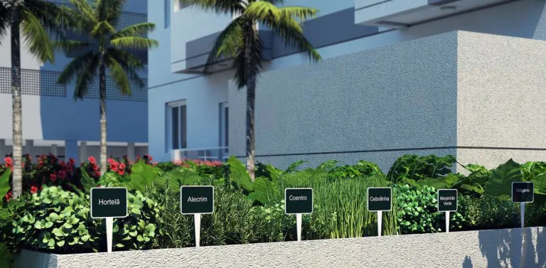 Imagem Apartamento com 2 Quartos à Venda, 42 m² em Jabaquara - Santos