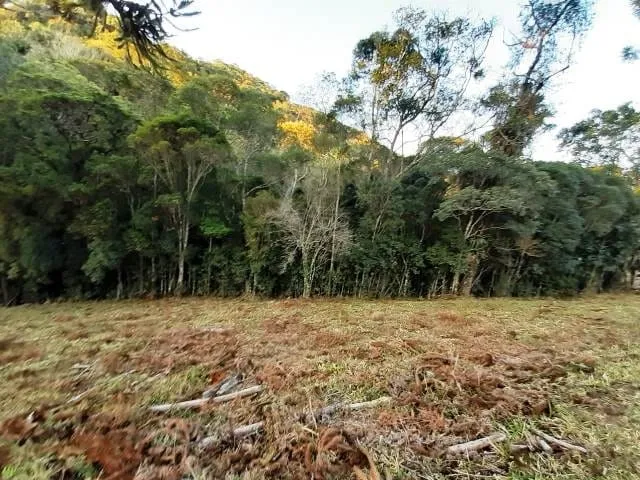 Imagem Chácara à venda 170000M², Paraibuna, Cunha - SP