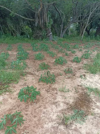 Imagem EXCELENTE!!! Sitio com 2 Ha. Casa, Salão de Festas, Piscina, Águas Claras