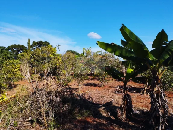 Imagem CHÁCARA JARDIM CANANÉIA