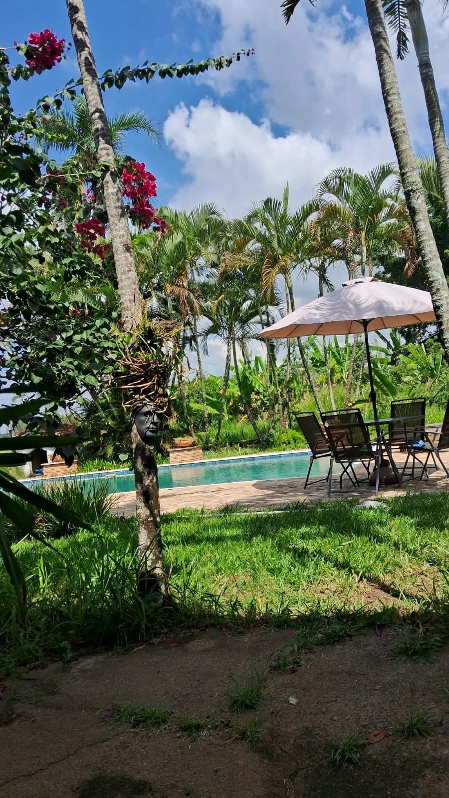 Imagem Chácara Dona Terra em Porangaba/SP ? Imóvel com Área Gourmet, Piscina e Pasto