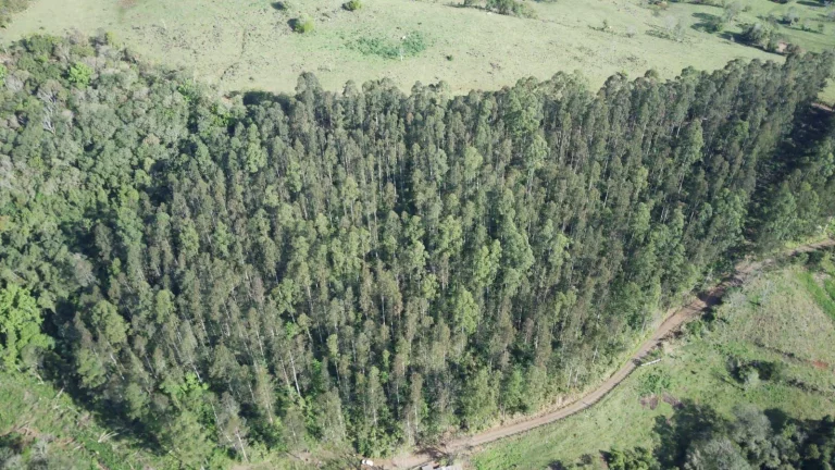 Terreno para Venda em Arabuta, Interior em Linha Unidos