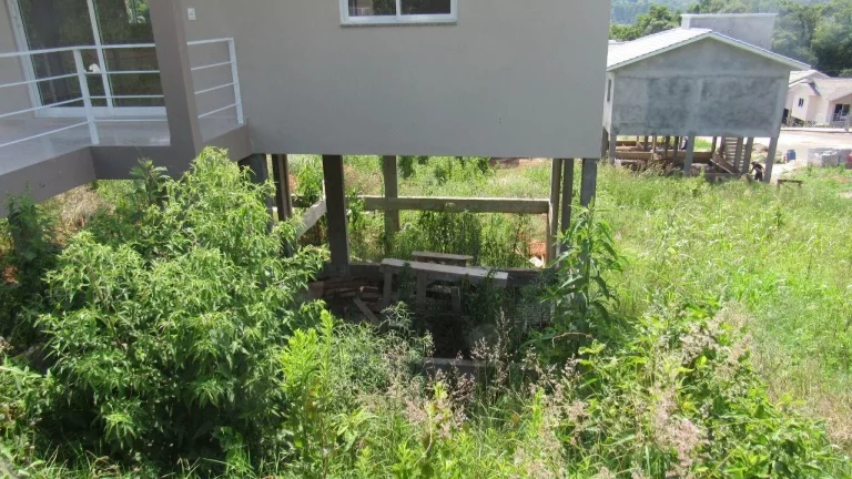 Imagem Casa para Venda em Concórdia, Vila Tamanduá, 2 dormitórios, 2 banheiros