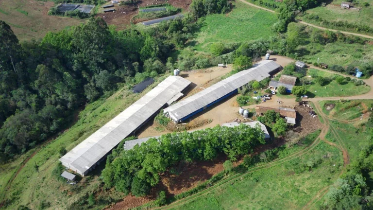 Imagem Granja para Venda em Lindóia do Sul, Interior