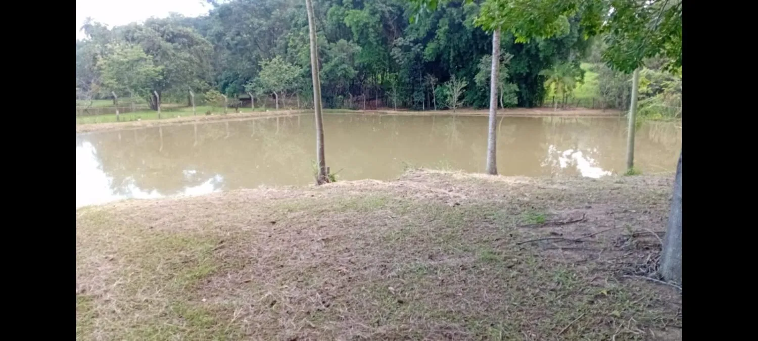 Imagem Excelente sítio à venda em Betim/MG ? Área total de 20.000 m²