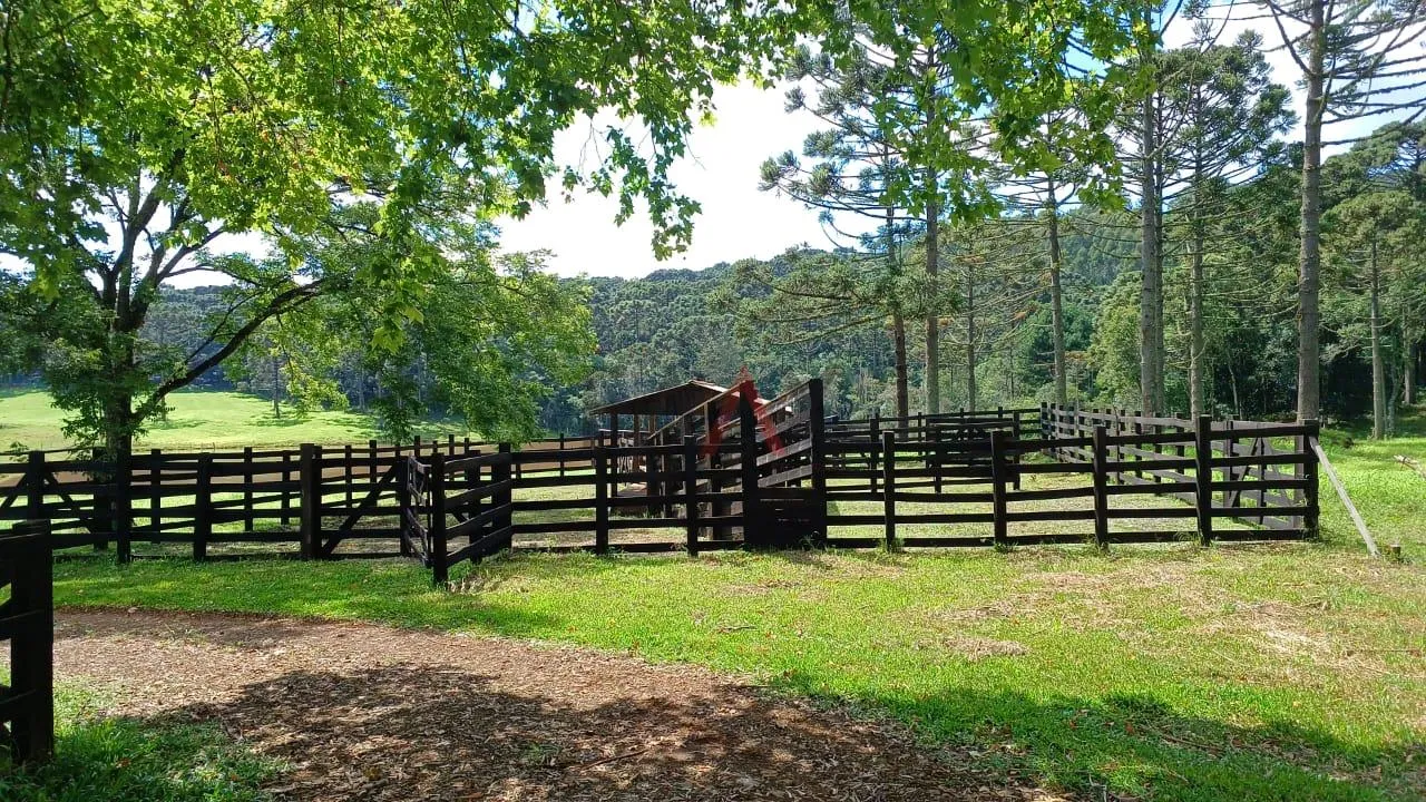 Imagem Area Rural Porteira Fechada, Arroio Fundo dos Rizis, TURVO - PR