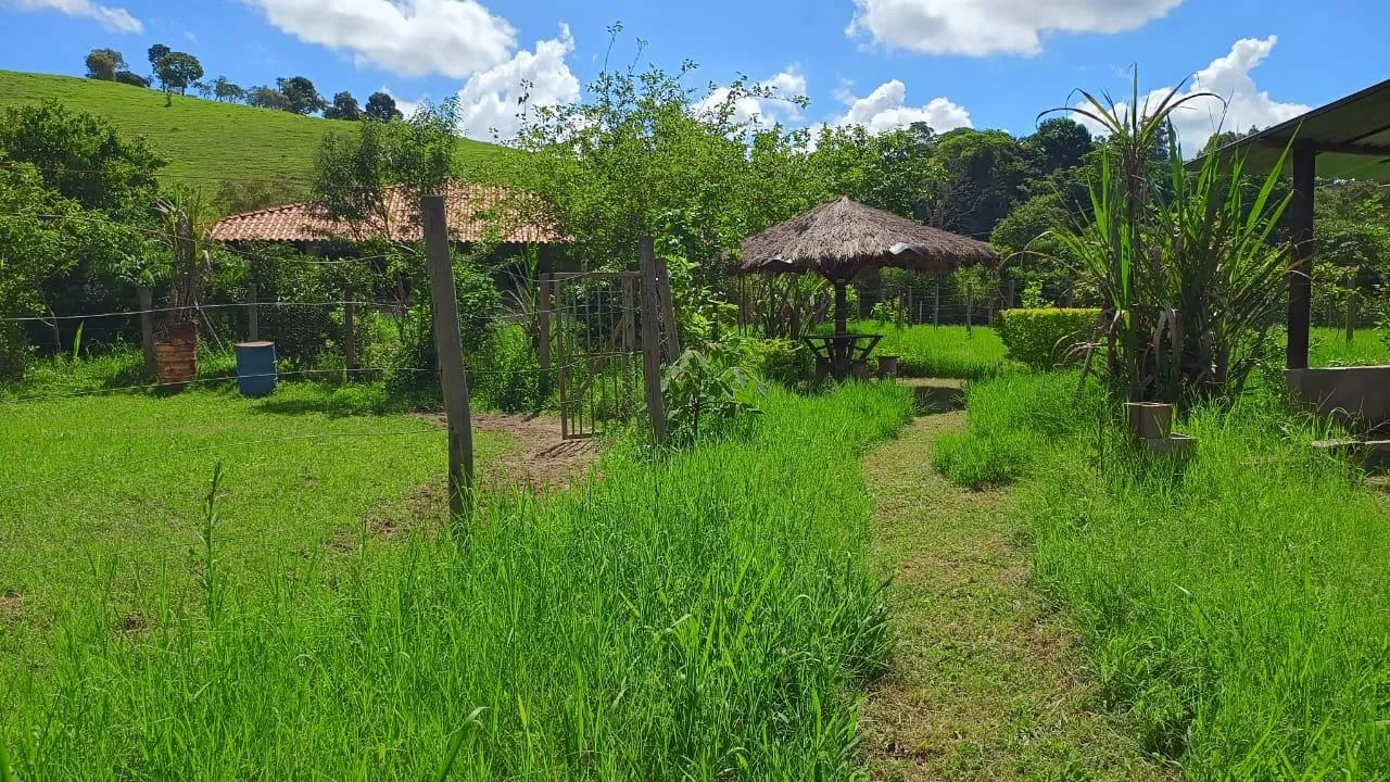 Imagem Vendo ótima chácara em Crucilândia com 7.000 m² de area