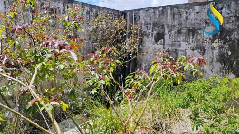 Imagem Casa Plana no Jose Walter