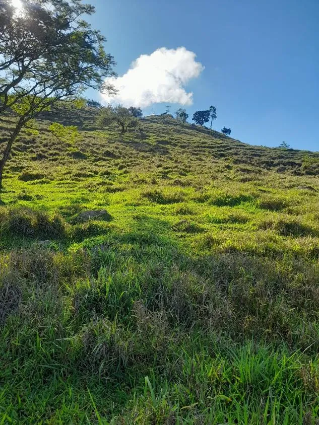 Imagem Vendo excelente sítio em Bonfim/MG ,com 9 hectares de área total (90.000 m²),
