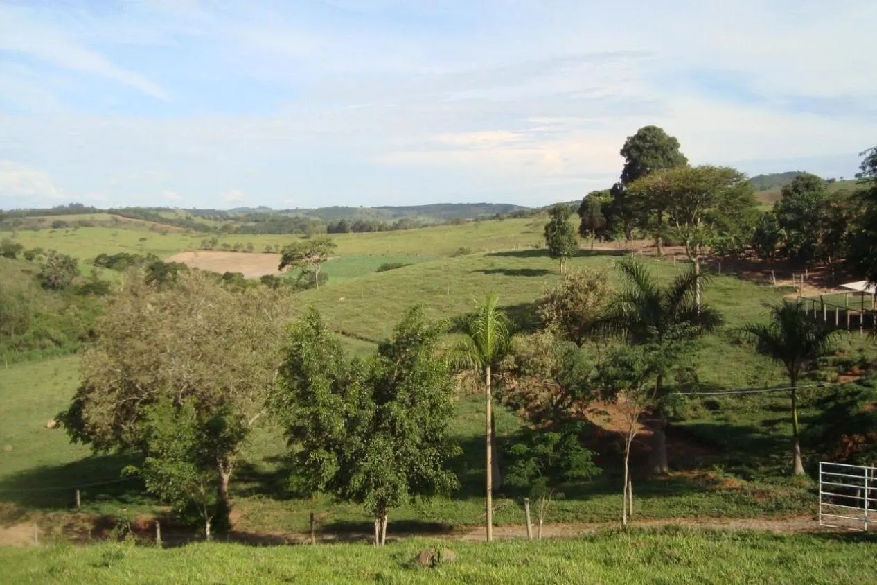 Imagem Vendo uma excelente fazendinha em Crucilândia/MG Área total de 57 hectares