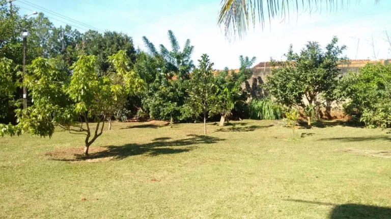 Imagem Chácara à venda  Quinta da Bela Olinda  Bauru/SP  888m²