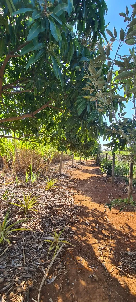 Imagem Chácara à venda em Cesário Lange-SP, bairro Campininha: 2 quartos, 1 sala, 1 banheiro, 1 vaga, 150m². Aproveite!