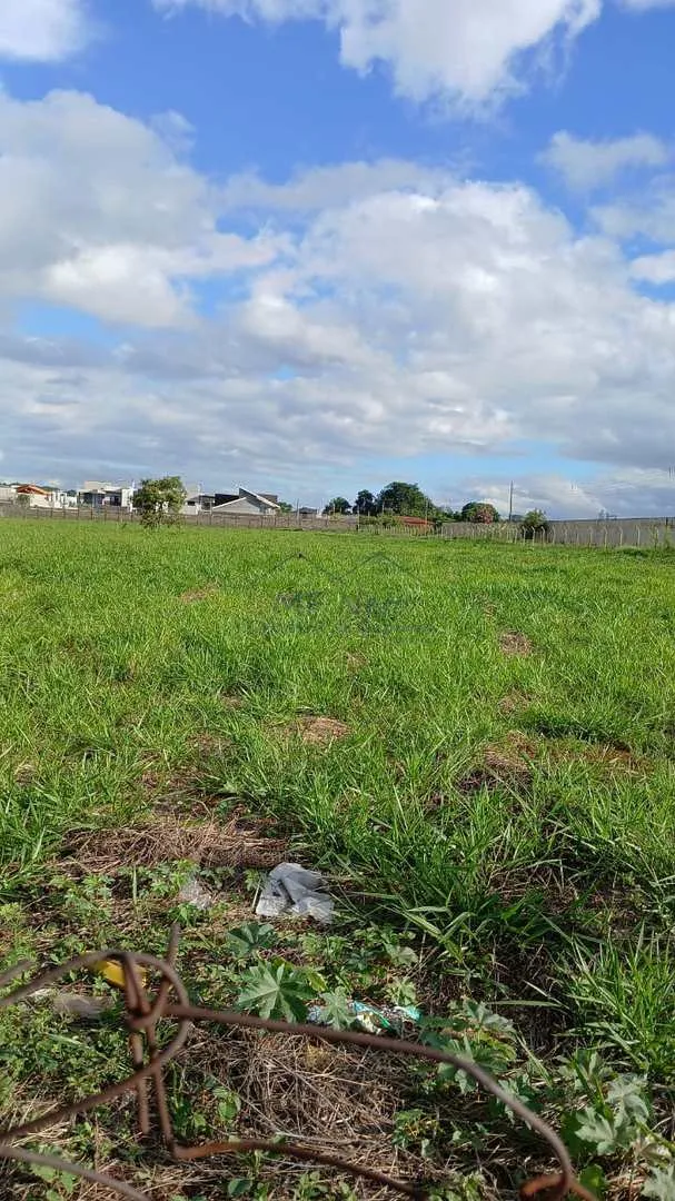 Imagem Terreno Padrão