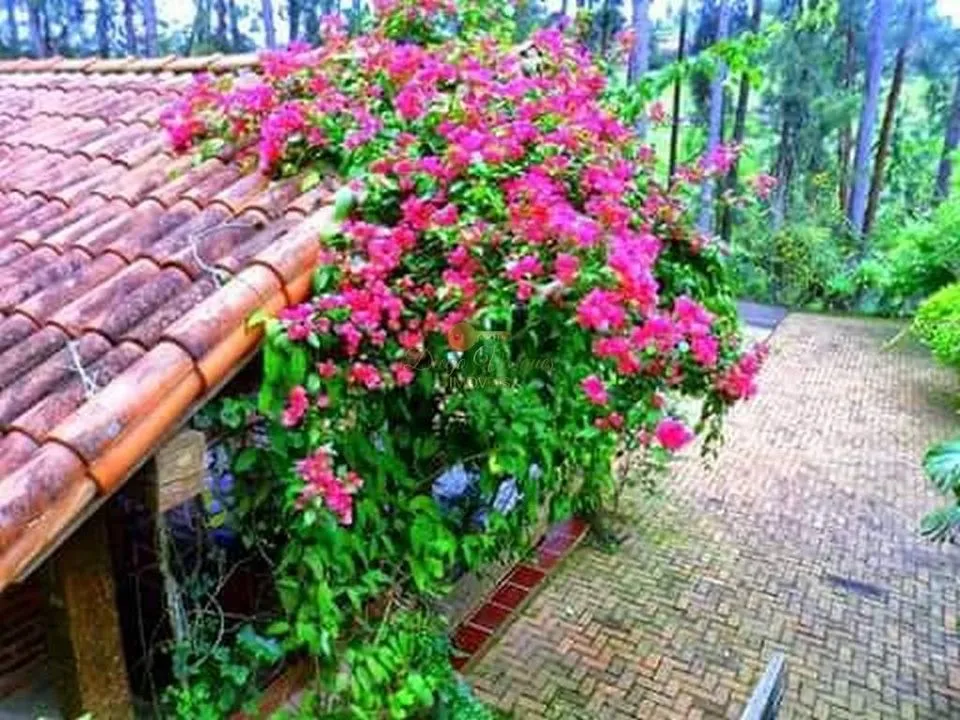 Imagem Sítio para Venda em Teresópolis / RJ no bairro Santa Rita