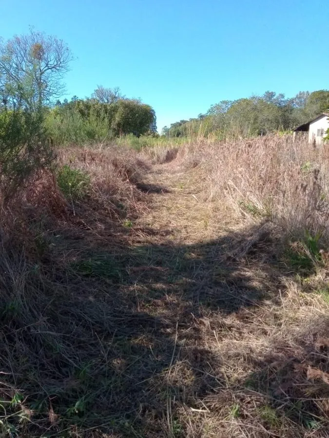Imagem Chácara para Venda em Gramado / RS no bairro Várzea Grande Linha Carara