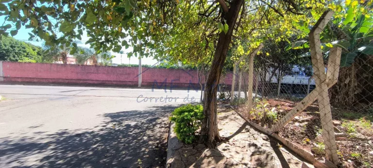Imagem Terreno Padrão