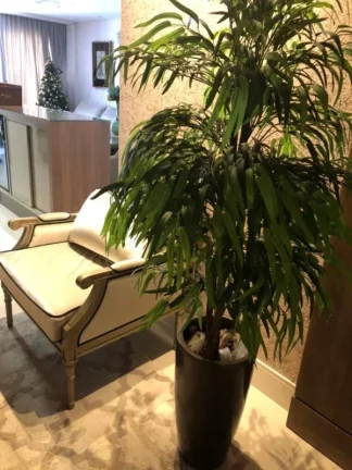 Imagem APARTAMENTO RESIDENCIAL em SÃO JOSÉ - SC, CAMPINAS