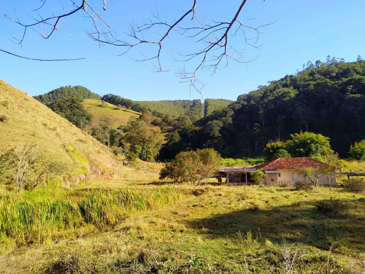 Imagem Chácara à venda 3 Quartos, 36000M², Zona Rural, Cunha - SP