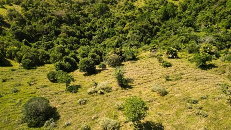Imagem Oportunidade de Terrenos na serra
