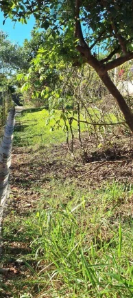 Imagem Socorro -SP -Oportunidade excelente Chacara nos Rubins a venda em Socorro SP