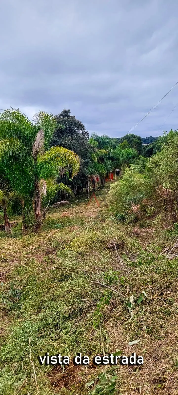 Imagem Chácara com 2 dormitórios à venda,60500.00 m , Guabiroba, GUARAPUAVA - PR
