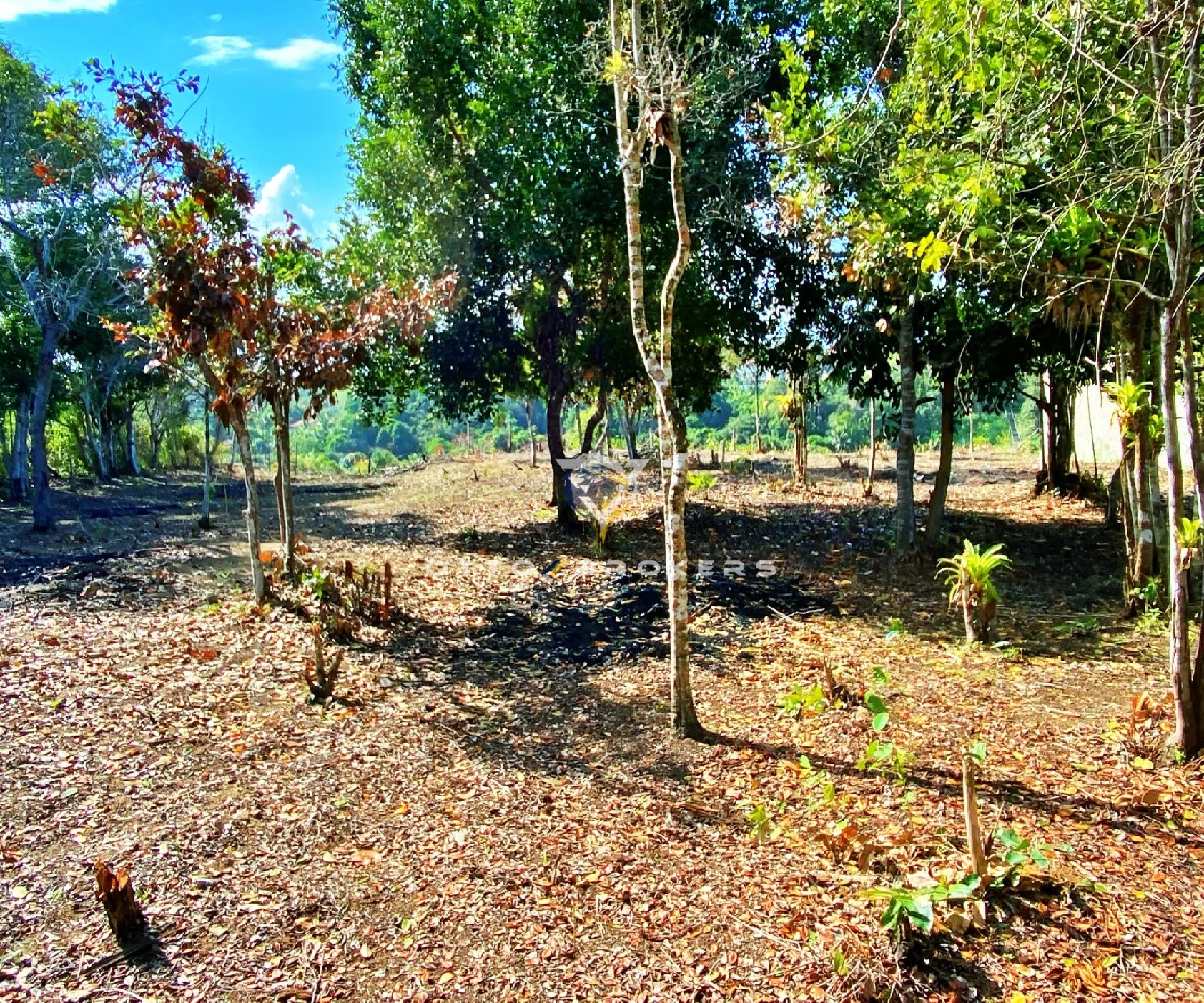 Imagem TERRENO RESIDENCIAL em Porto Seguro - BA, CHÁCARAS PANÔRAMICAS