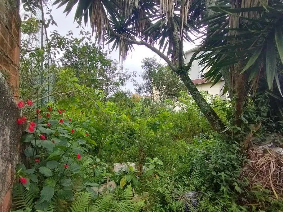 Imagem Terreno para Venda em Teresópolis / RJ no bairro Alto