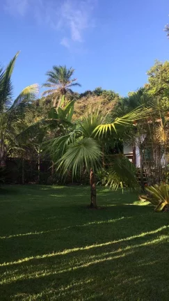 Imagem JACUMÃ