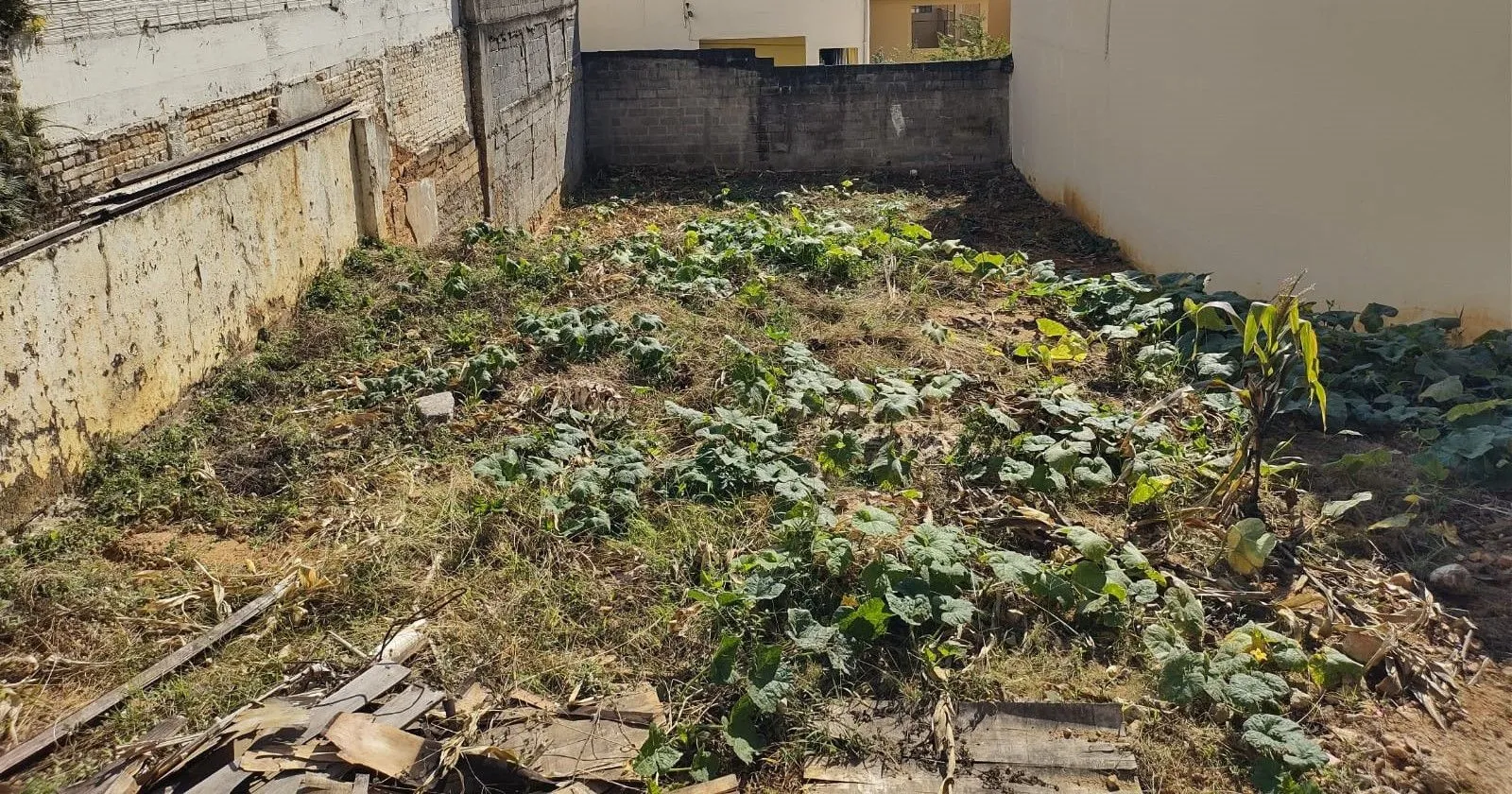 Imagem Terreno à venda, 213 m² por R$ 990.000,00 - Sumaré - São Paulo/SP