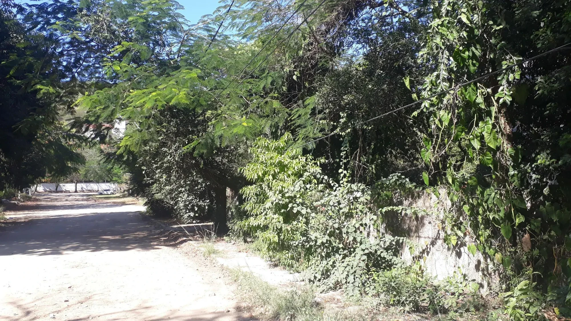 Imagem Terreno à Venda, 1196 metros em Itaipu - Niterói