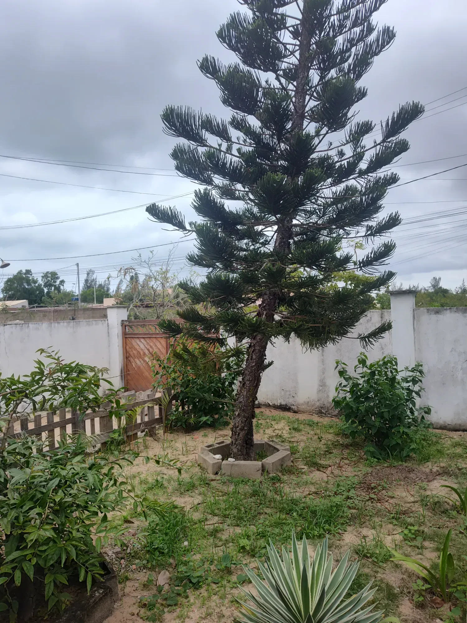 Imagem Casa com 4 Quartos à Venda, 450 m² em São João da Barra - São João da Barra