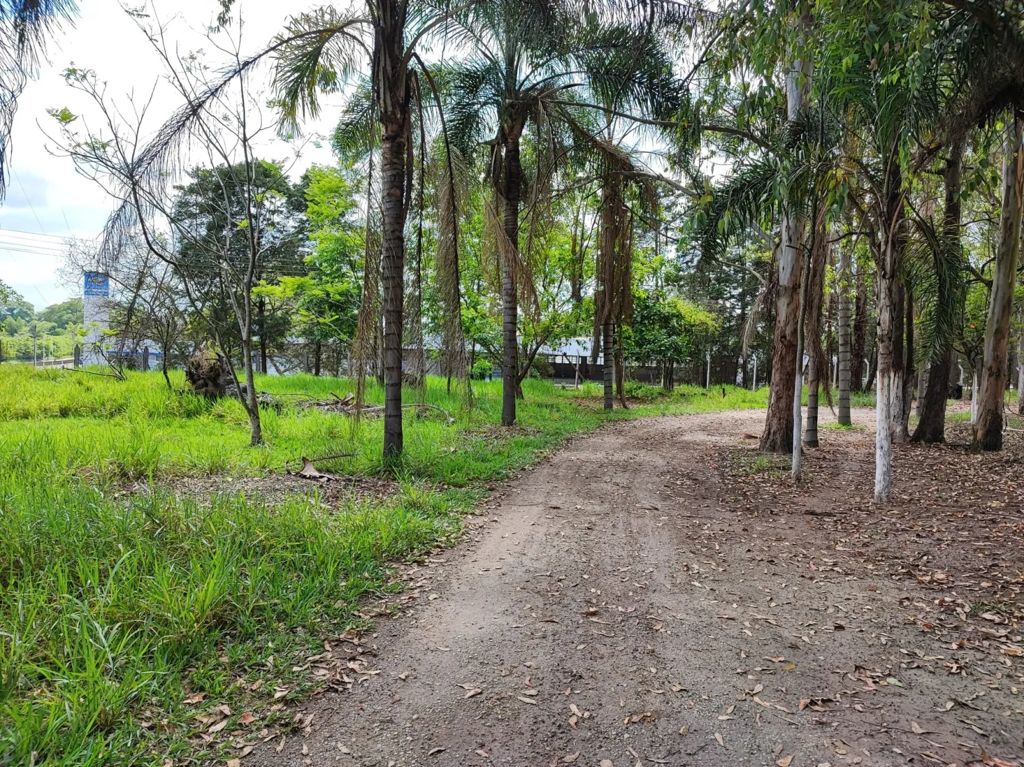 Imagem Chácara à venda 2 Quartos, 37000M², Figueira, Guaratinguetá - SP