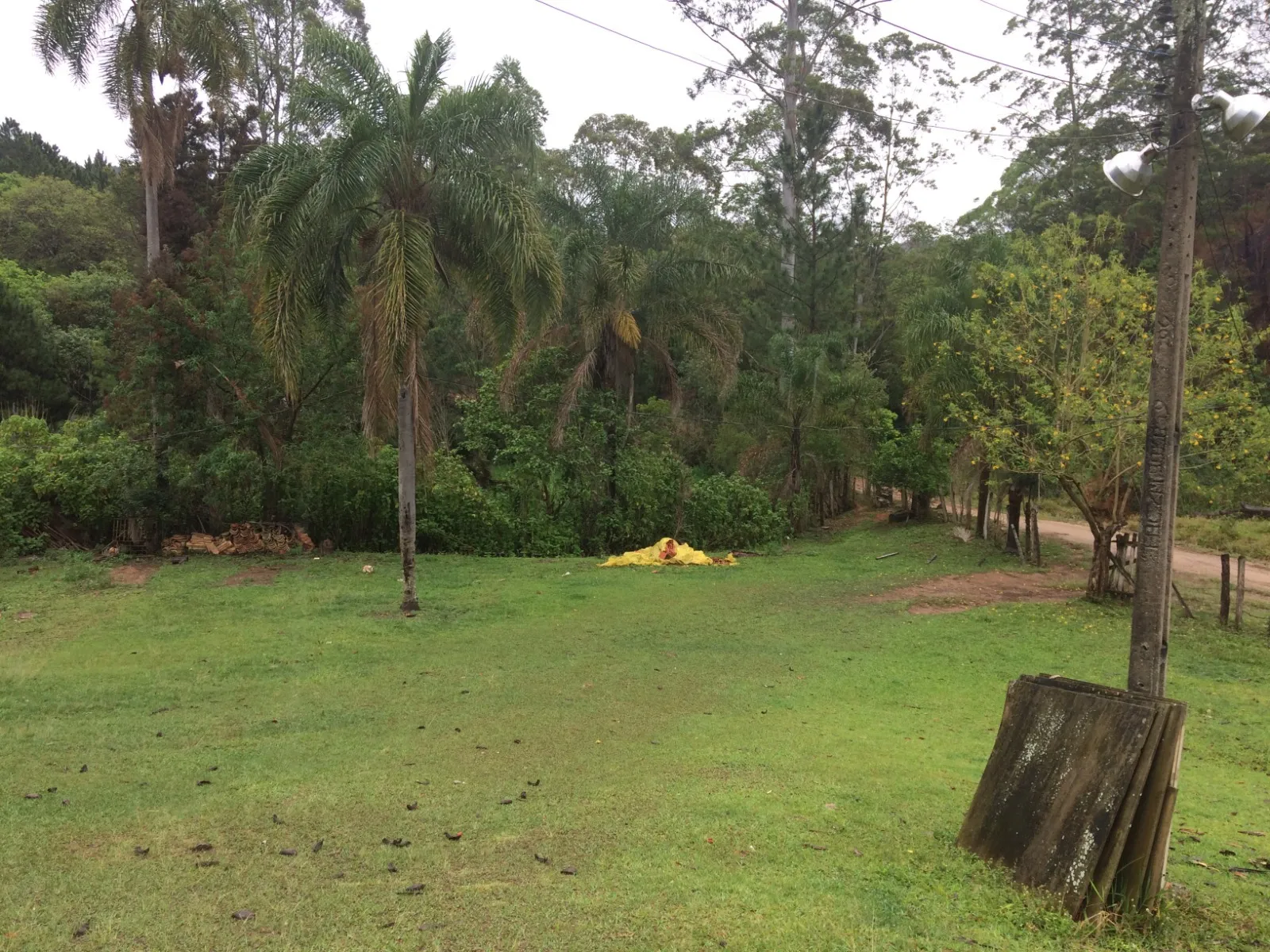 Imagem Oportunidade: Sítio com Muito Verde e Água de Nascente